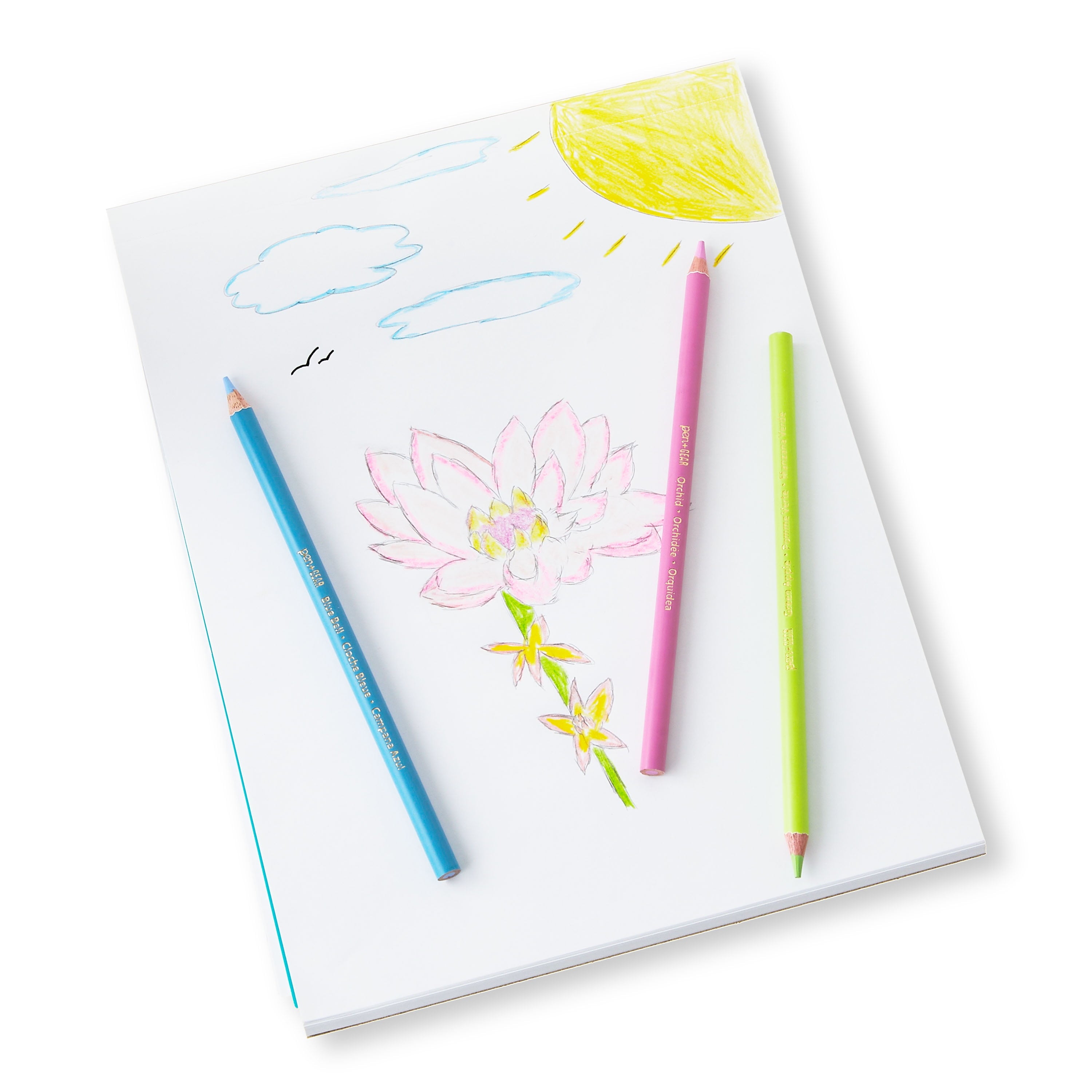 Pen+Gear Sharpened Colored Pencils, Assorted Colors, 24 Count